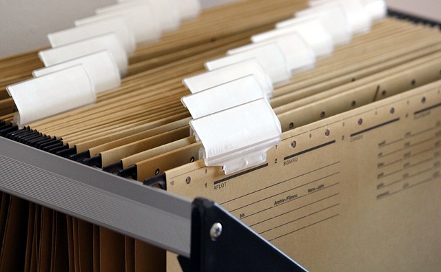 document storage solutions for paper files